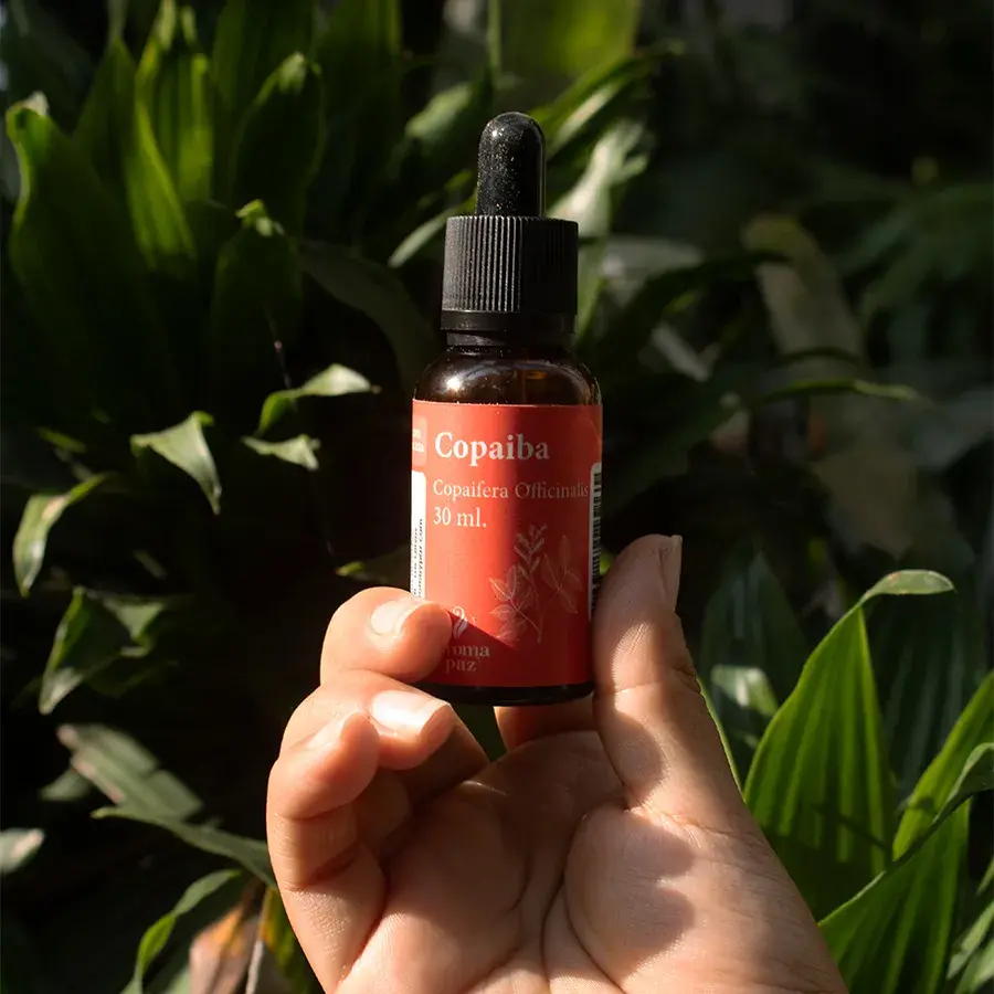 Aceites Vegetales