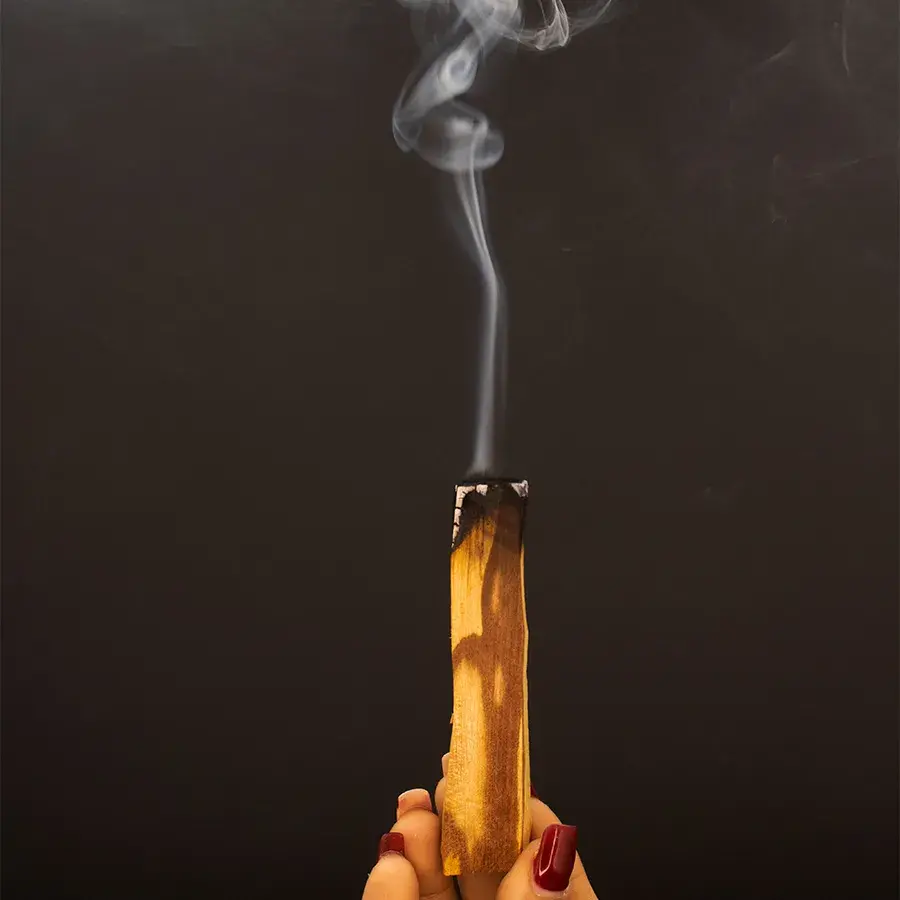 Palo Santo